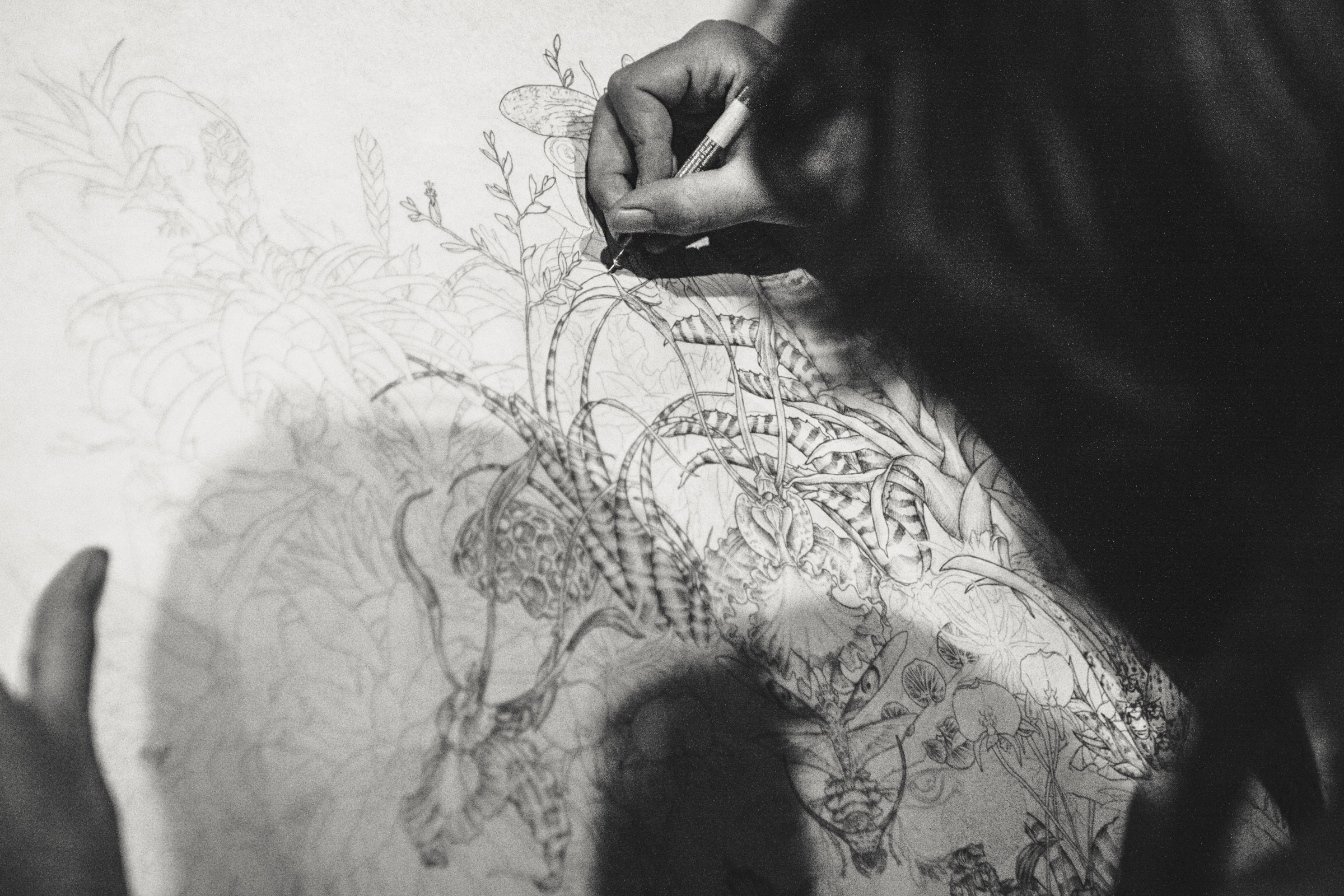 Bertolt Hering Farben der Natur