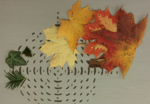 Farbordnungsfeld mit Workshop-ergebnissen von Studierenden der Münchner AkademieM