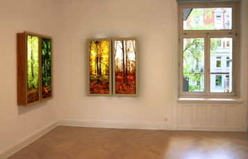 Bertolt Herings Rotbuchen (vier jhreszeiten) in Osterwalders Art Office